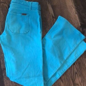 JOES jeans sz 29. Teal flares